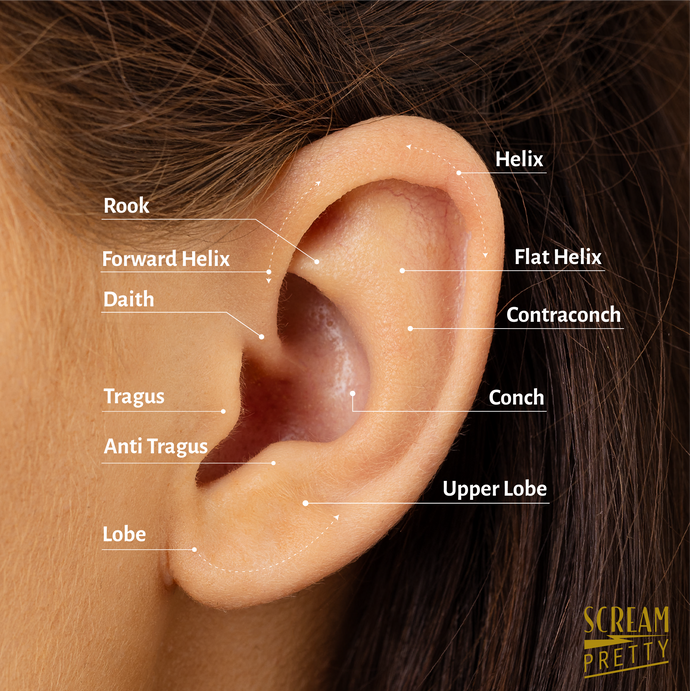 Types of Ear Piercings on Ear | Earring Guide