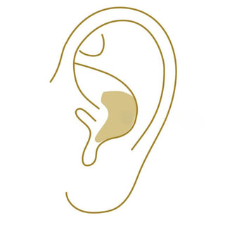 Conch Piercing Earring Placement on Ear