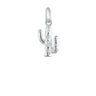 Silver Cactus Charm