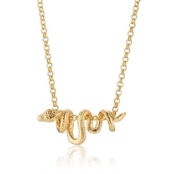Chinese Zodiac Snake Necklace | Year of the Snake – Scream Pretty