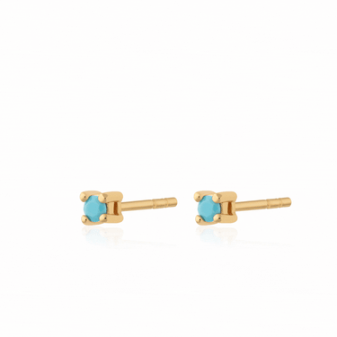 Teeny Tiny Stud Earrings