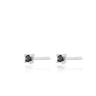 Silver Classic Cubic Zirconia Stud Earrings with Black Stones