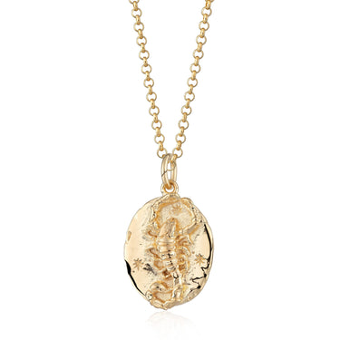 Scorpio Zodiac Necklace | Silver & Gold  Star Sign Pendant Necklaces by Scream Pretty