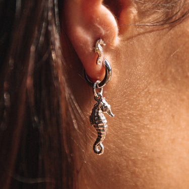 Seahorse Single Huggie Earring by Scream Pretty