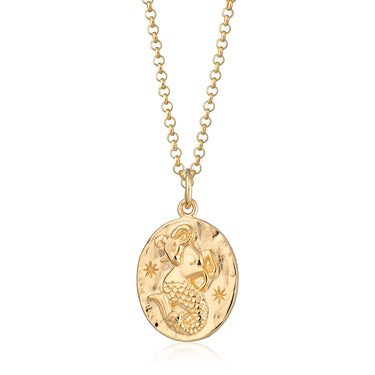 Capricorn Zodiac Necklace | Silver & Gold Star Sign Pendant Necklaces by Scream Pretty