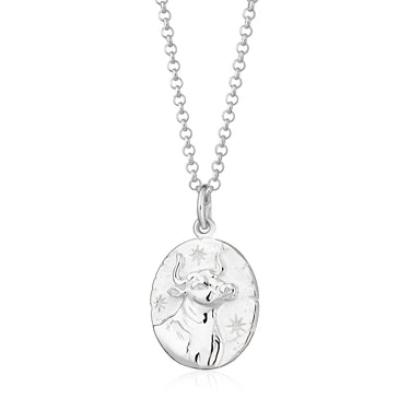 Taurus Zodiac Necklace | Star Sign Pendant Necklaces by Scream Pretty